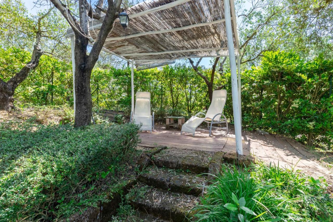 La Casa Medioevale Bed & Breakfast Lamporecchio Dış mekan fotoğraf