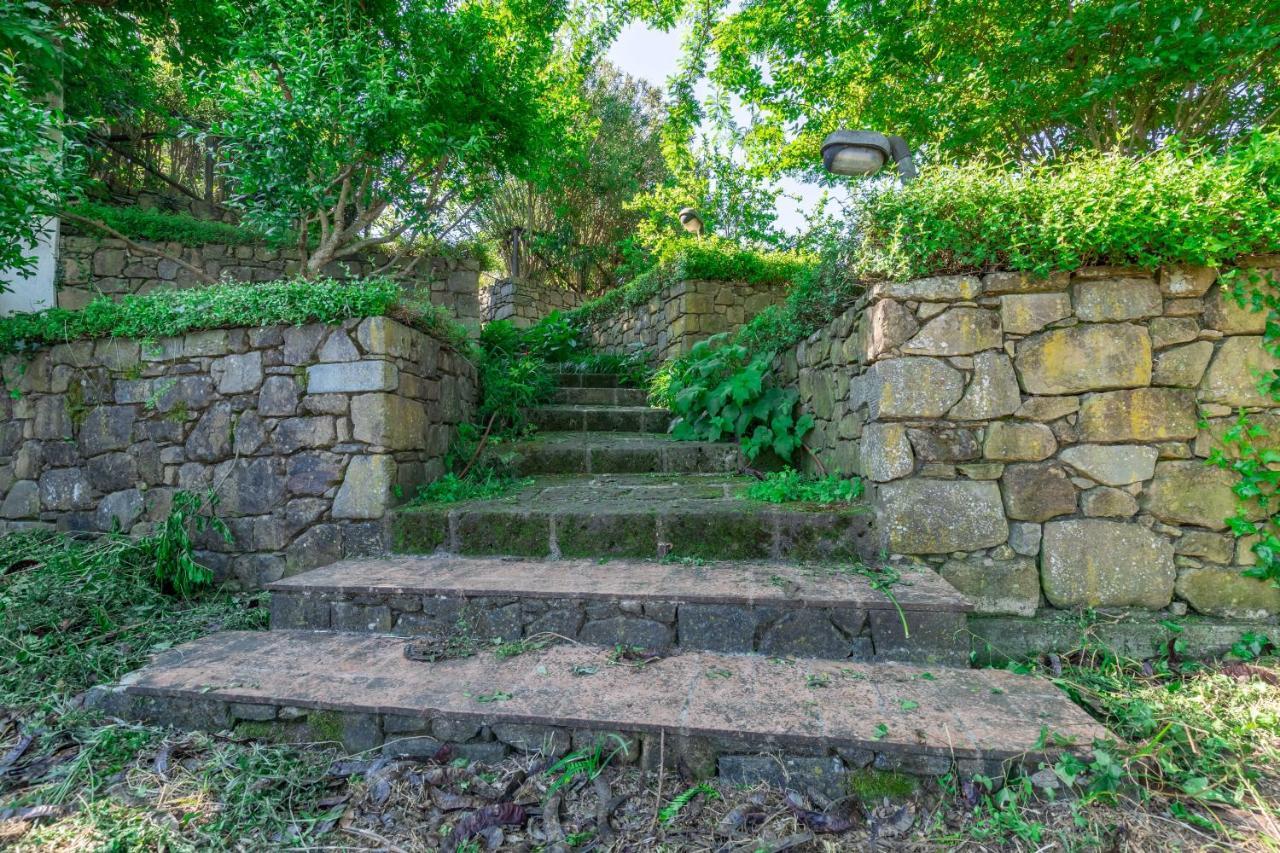 La Casa Medioevale Bed & Breakfast Lamporecchio Dış mekan fotoğraf