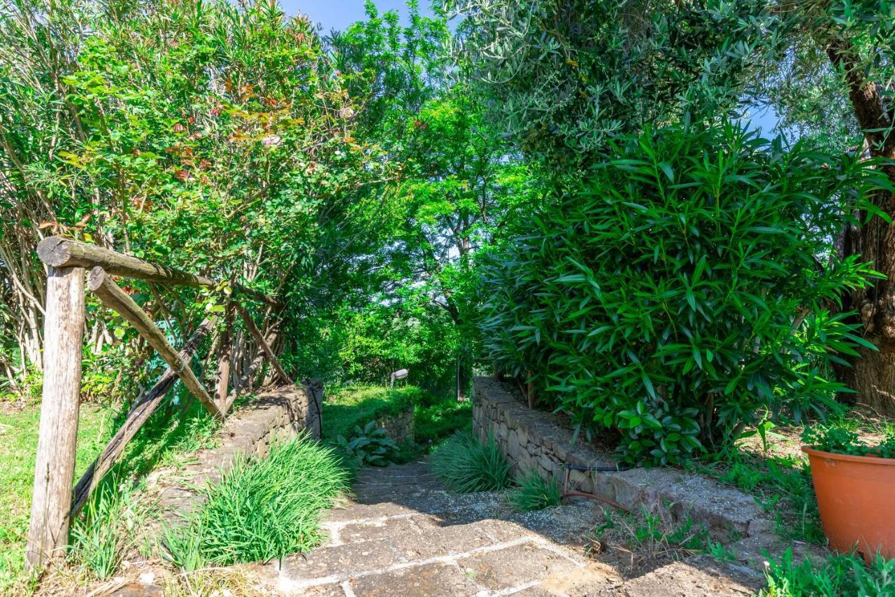 La Casa Medioevale Bed & Breakfast Lamporecchio Dış mekan fotoğraf